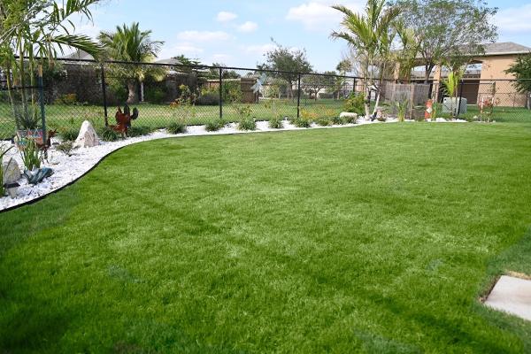 Premier Lawn Services