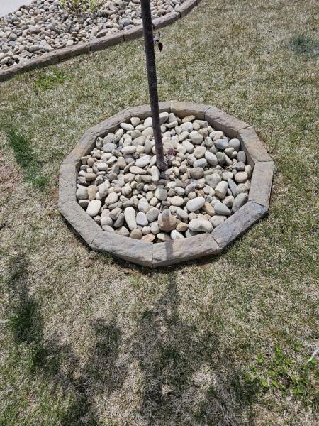 EZ Landscaping LLC