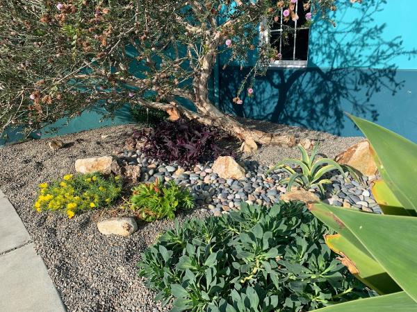 Rainscape A Landscape Services Co