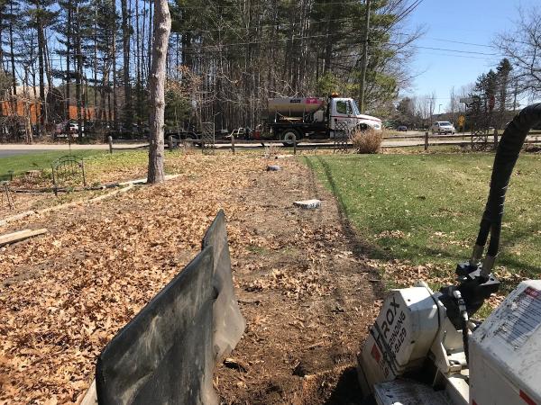 T-Rox Stump Grinding