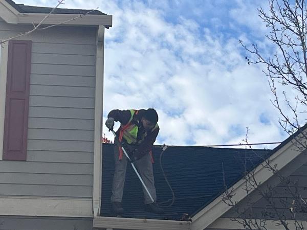 Handy Panda Property Maintenance