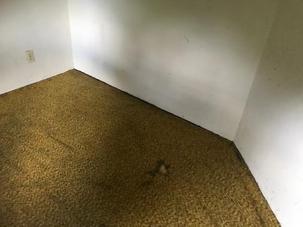 Hicks Pest Control