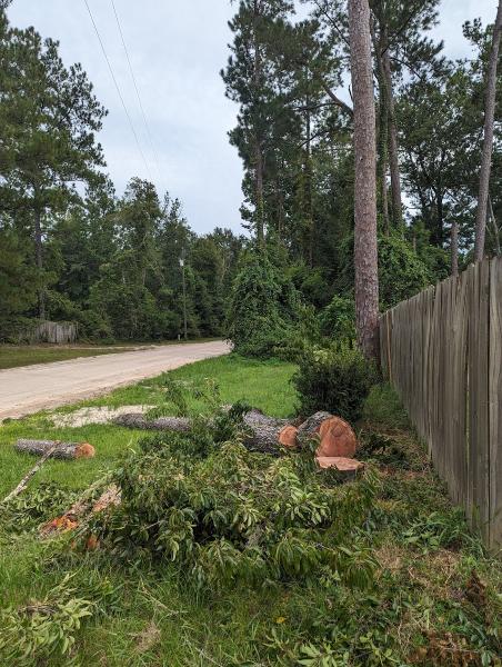 Marco Ferri Tree Service