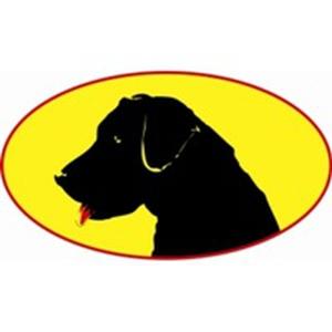 Black Dawg Sealcoat