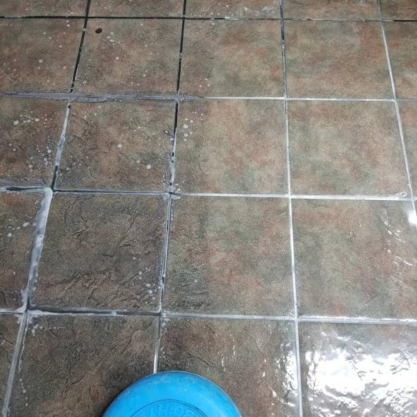 ADJ Carpet Cleaning & Services