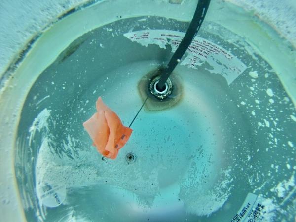C & C Leak Detection Inc