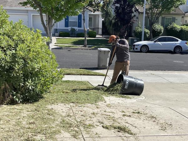 Orchid Lawn Care
