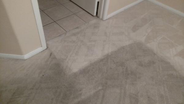 J&J Carpet and Upholstery Cleaning