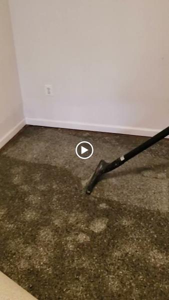 Triangle Legacy Flood Restoration & Carpet Cleaning