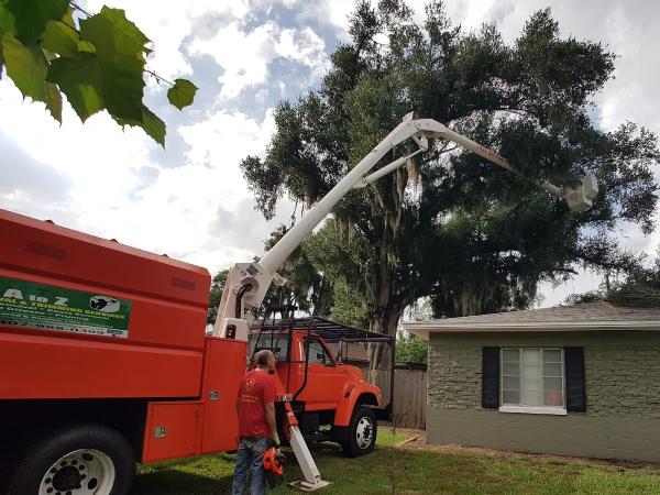 A to Z Tree Removal Service LLC