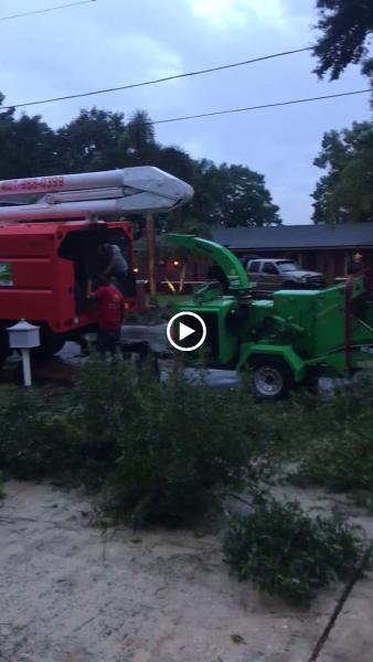 A to Z Tree Removal Service LLC