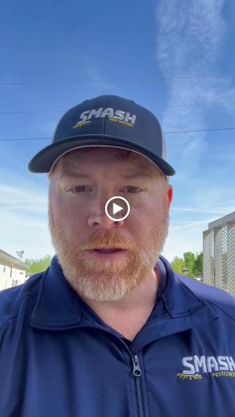 Smash Pest Control -Nashville Tennessee