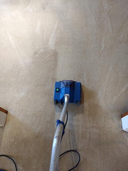 Low-Price Carpet Cleaning