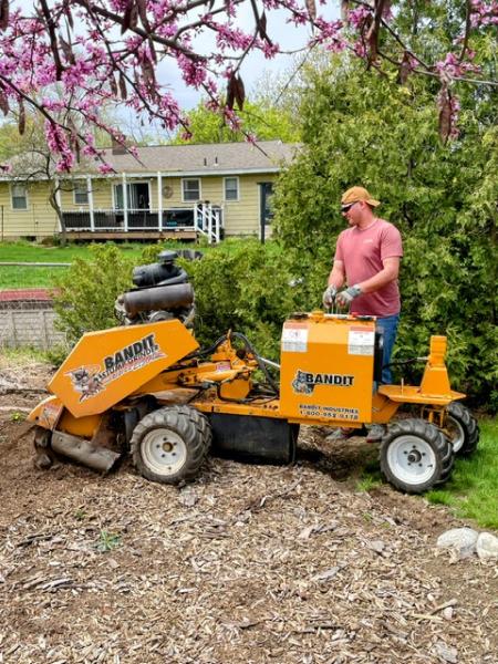 A Halls Tree Service Company