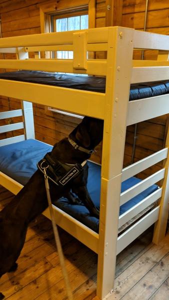 K9 Bed Bug Hunter