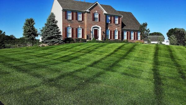 Belawnsmart Landscaping & Sprinkler Irrigation