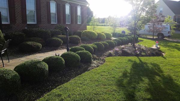Belawnsmart Landscaping & Sprinkler Irrigation