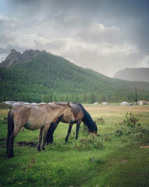 Country Air