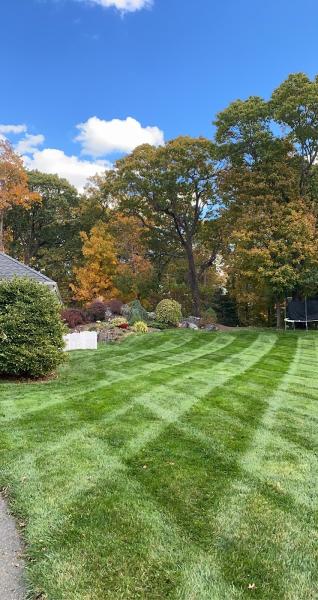 Barbano Brothers Land Design