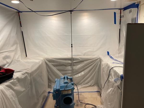 Home Pro Mold Services