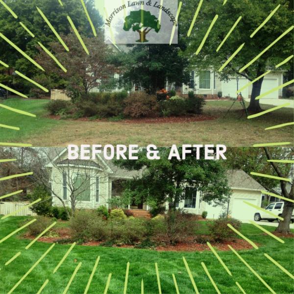 Morrison Lawn and Landscape