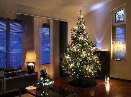 Pro-Cut Tree Services