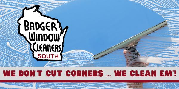 Badger Window Cleaners South