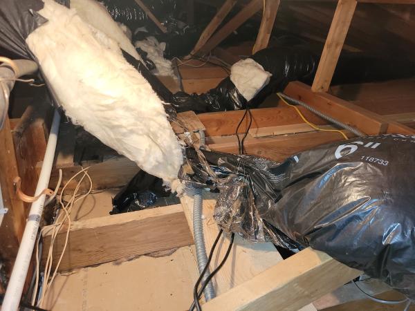 Asbestos Abatement Associates