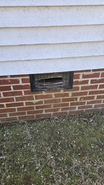 Carolina Wildlife Removal