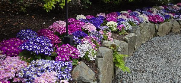 Landscape Orleans LLC