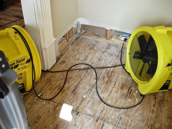 Archer Restoration Services