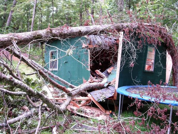 Archer Restoration Services