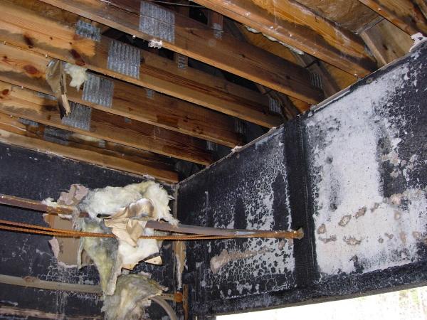 Archer Restoration Services