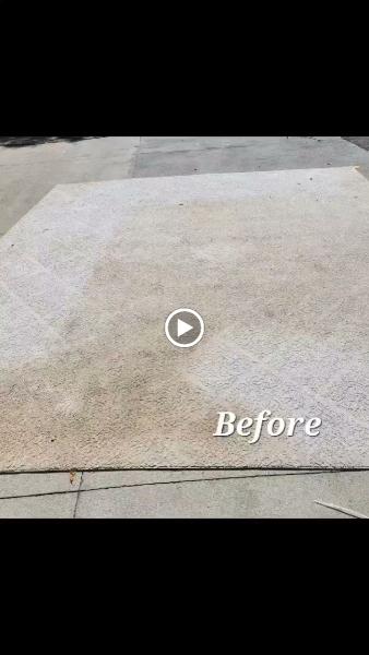Whitehall Carpet Cleaners & Restoration
