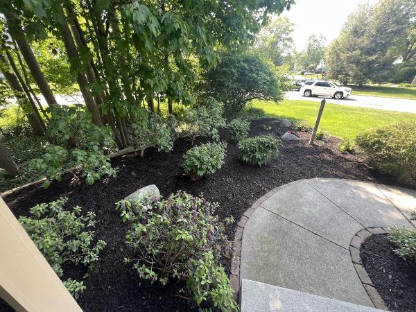 Potter Lawn & Landscape