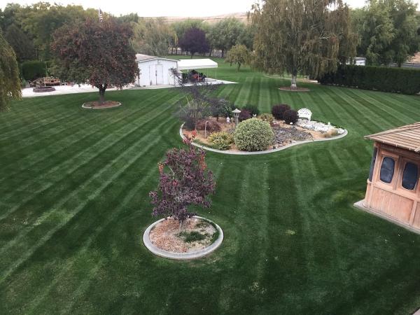 TLC Landscape Management