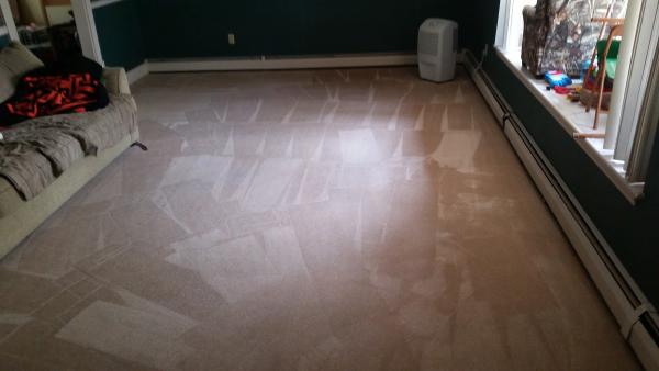 Bright Carpet Cleaning Services