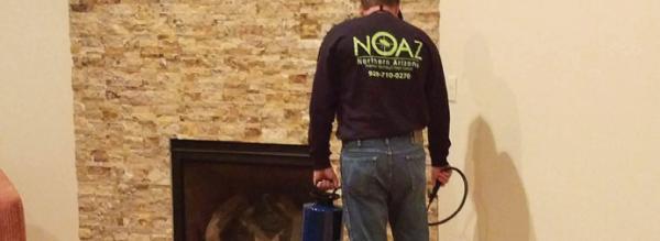 Noaz Pest