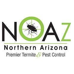 Noaz Pest