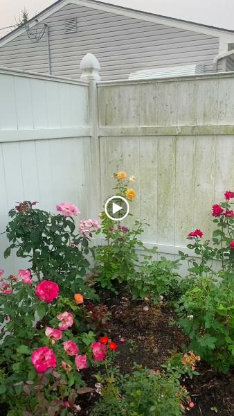Power House Power Wash LLC