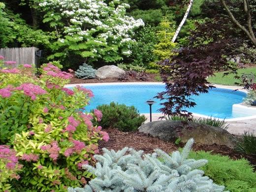 Green Rose Landscaping
