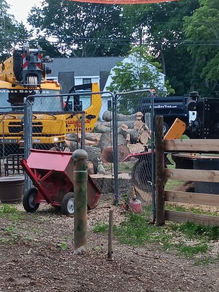 Mass Bay Tree Service Inc