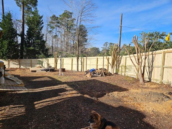 Shamrock Fence