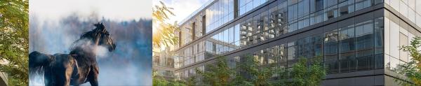Stetson Asset Management