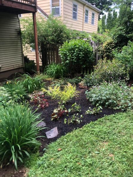 Garden Design PDX