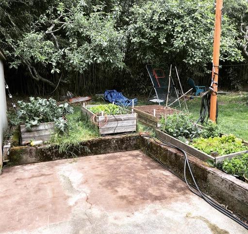 Garden Design PDX