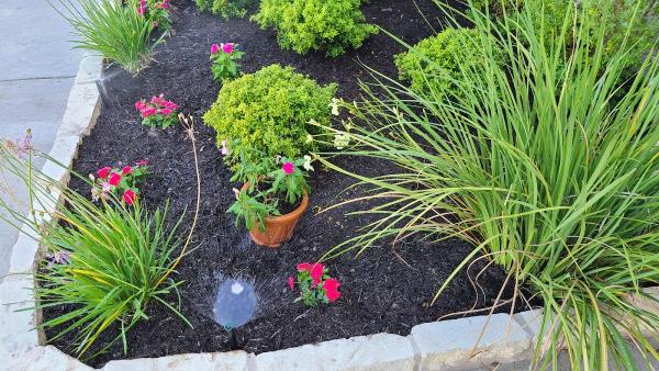 Save My Sprinklers