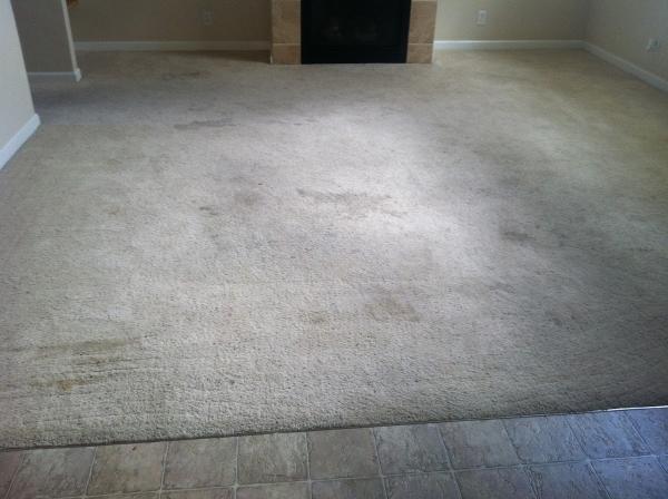 Extremely Clean Carpet Cleaning