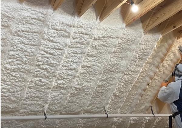 Evergreen Insulation