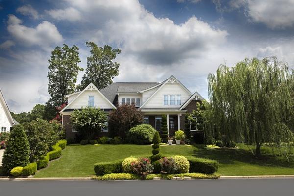 Soil and Seed Landscaping